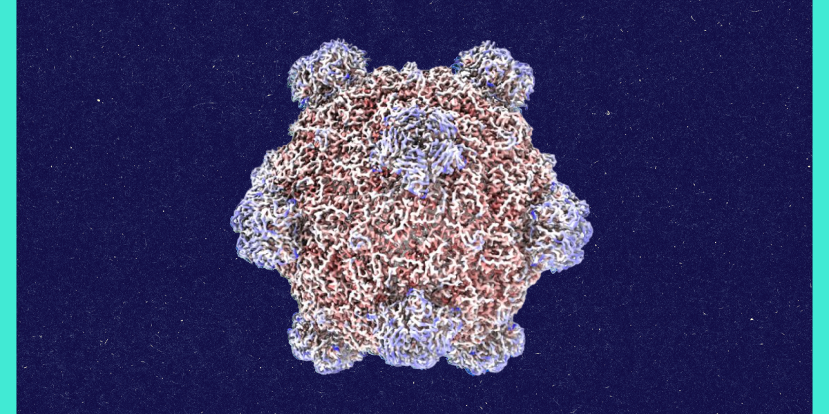 A Conversation With the Creator of AI-Designed Viruses