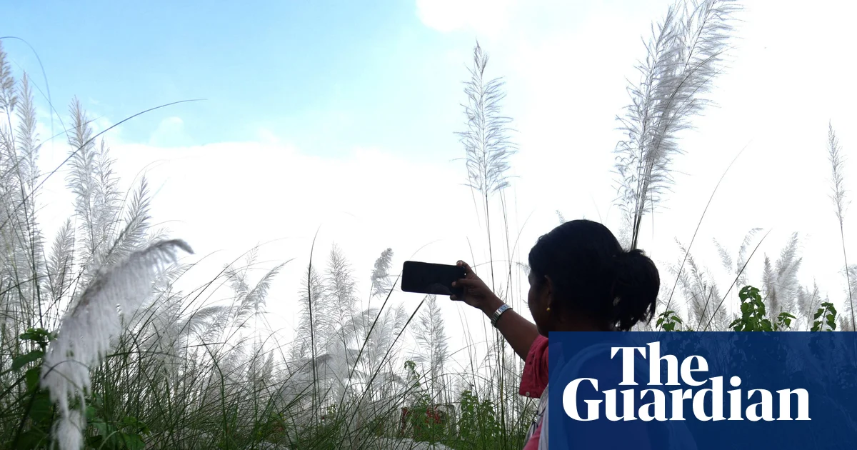World Bank Urges Developing Countries to Build “Small AI” for Local Needs