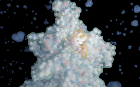AI Enables De Novo Design of Bitter Peptides for Taste Research