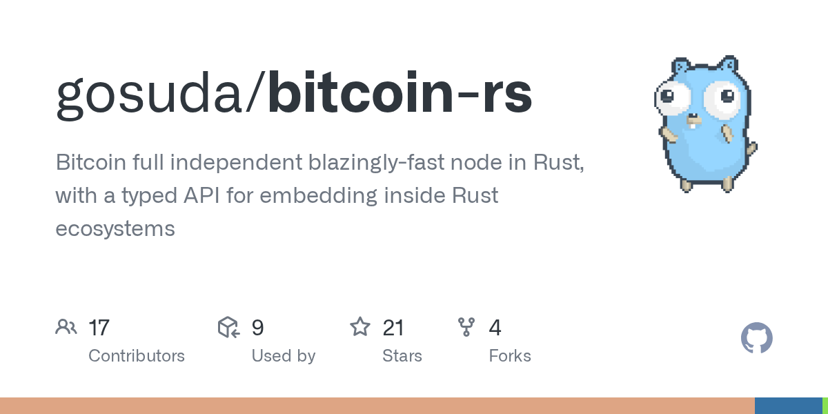 bitcoin-rs: An Independent Bitcoin Full Node for the Rust Ecosystem