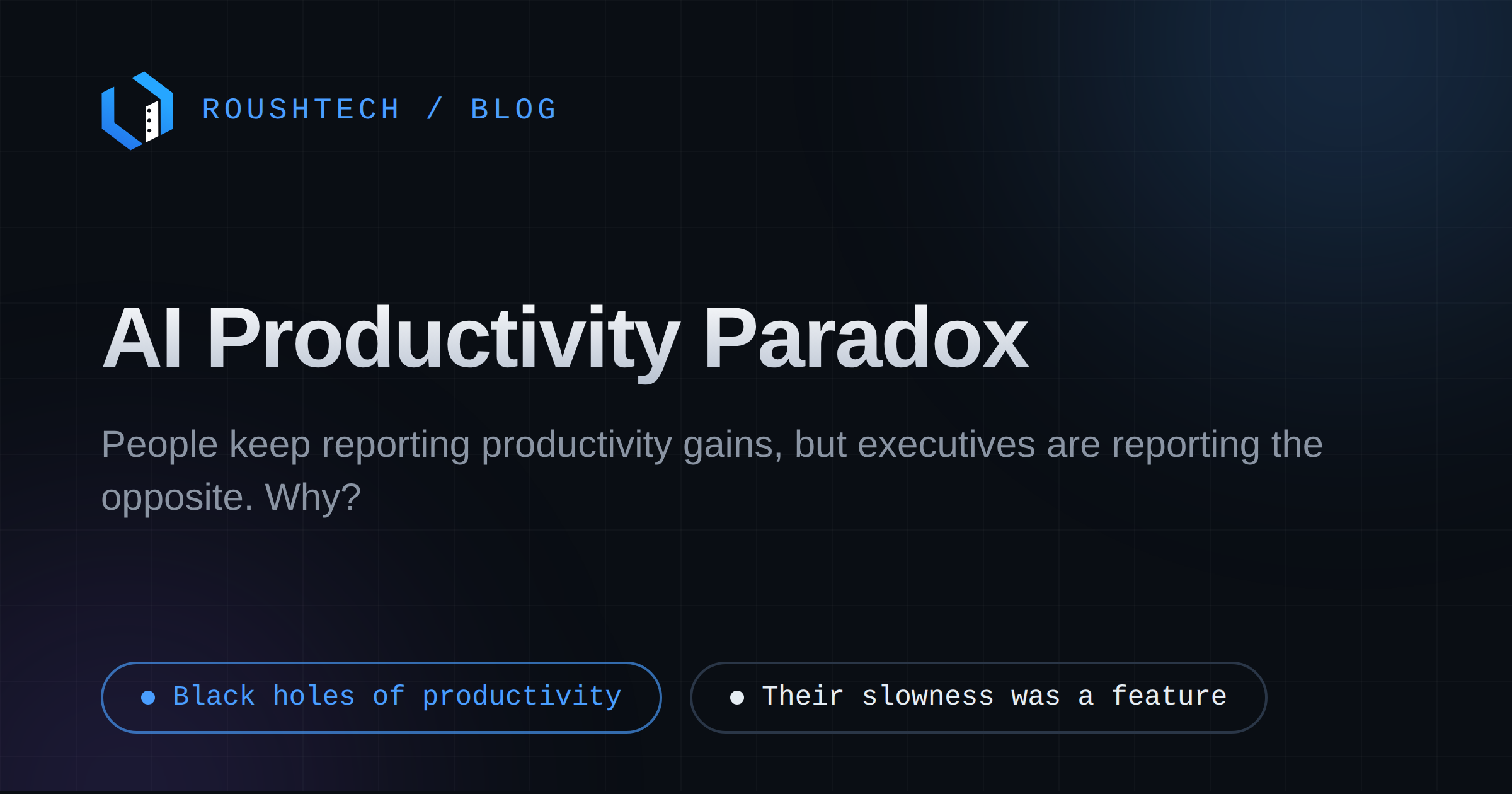 The AI Productivity Paradox
