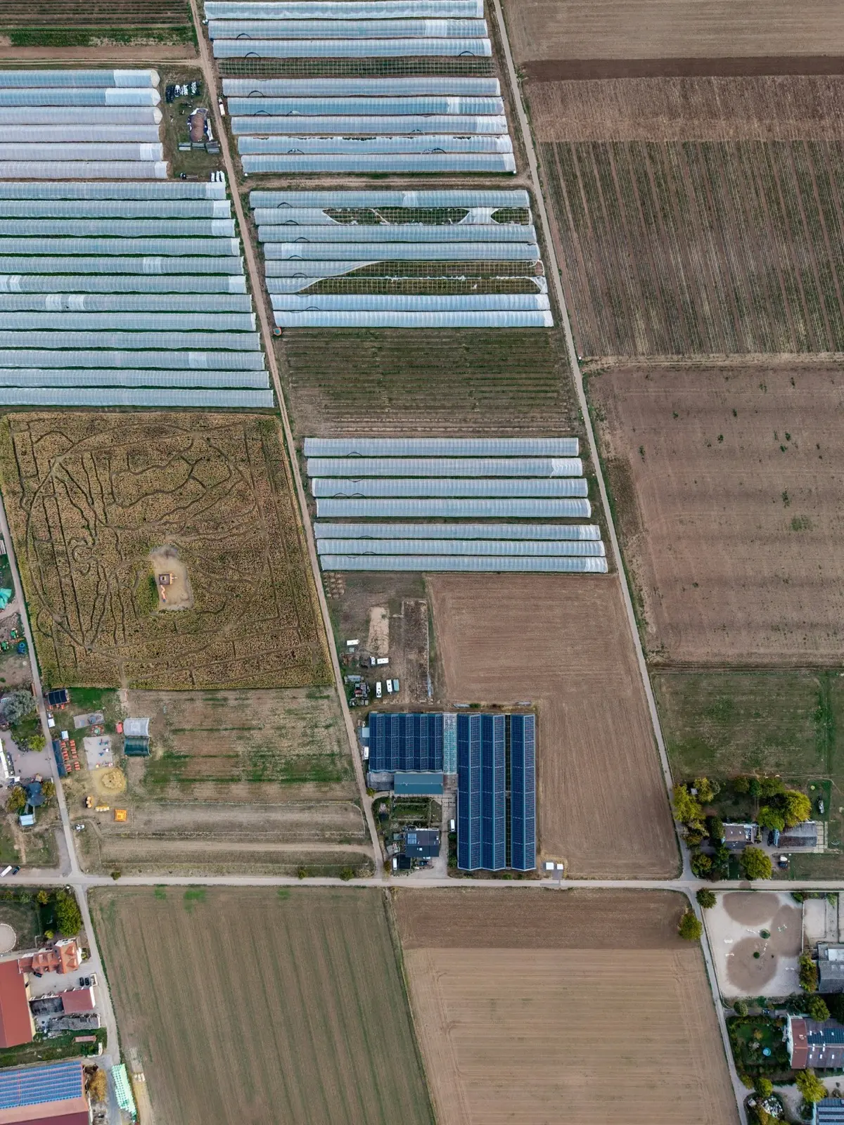 Agririgo launches AI platform for farm operations and crop traceability